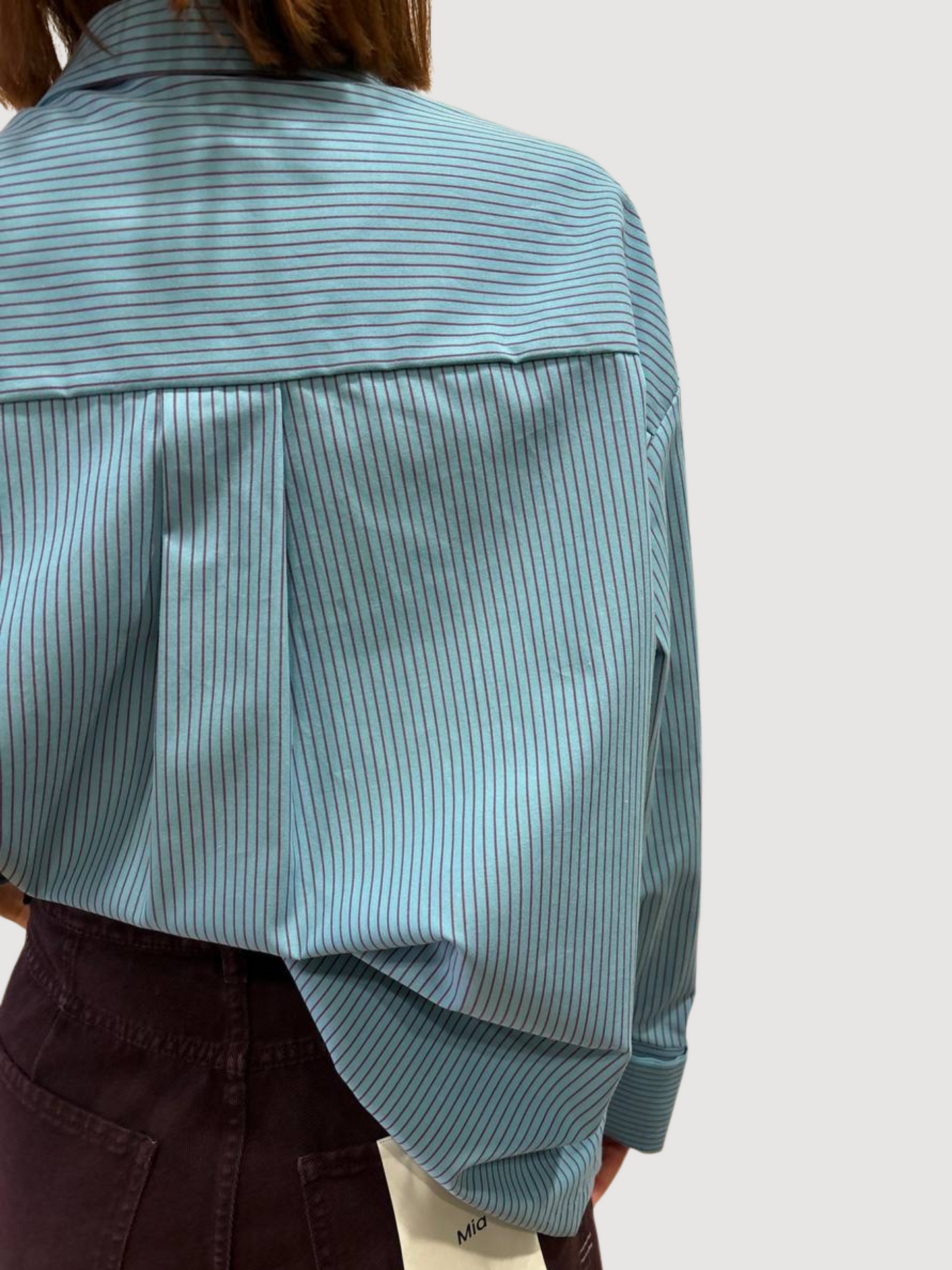 MEME ROAD - Camicia azzurra con riga bordeaux con bottone a gioiello